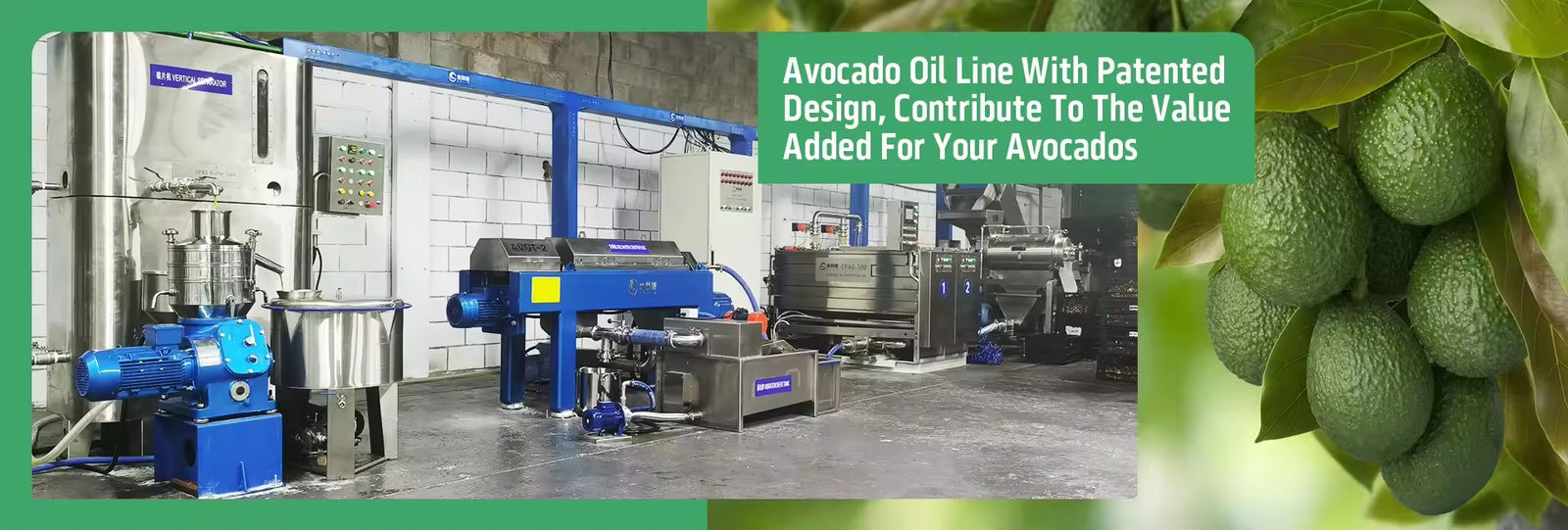 Avocado-olie machine