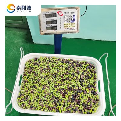 2 Fase-separatie-extractie EVOO-500 500KG/H Olijfolie-extractie-machine voor olie