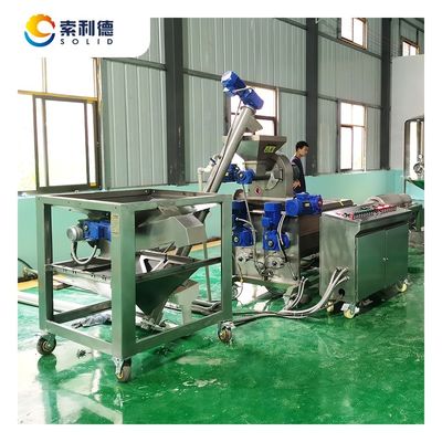 2 Fase-separatie-extractie EVOO-500 500KG/H Olijfolie-extractie-machine voor olie