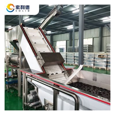 Centrifuge-extractie Avocado Oil Press Machine voor extra maagdelijke olieproductie van 5 T/H