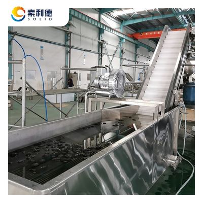 SUS304 Advanced Technology Cold Press Avocado Oil Productielijn CPAO-2000 2T/H