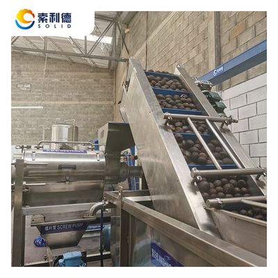 500 kg/h koudgeperste avocado-olie-extractielijn met centrifuge-extractie-machine