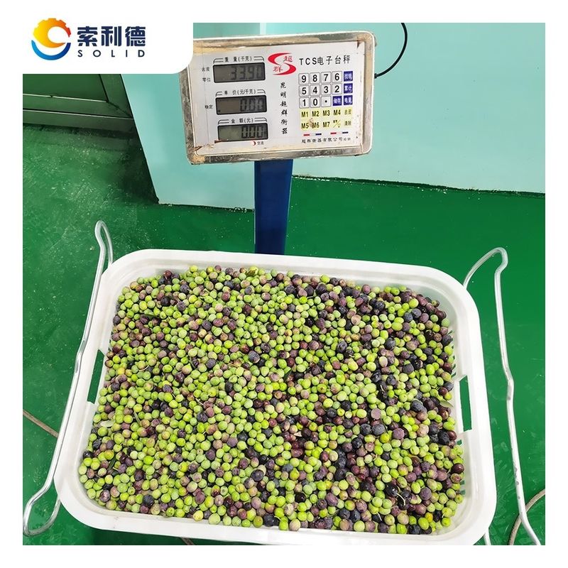 2 Fase-separatie-extractie EVOO-500 500KG/H Olijfolie-extractie-machine voor olie