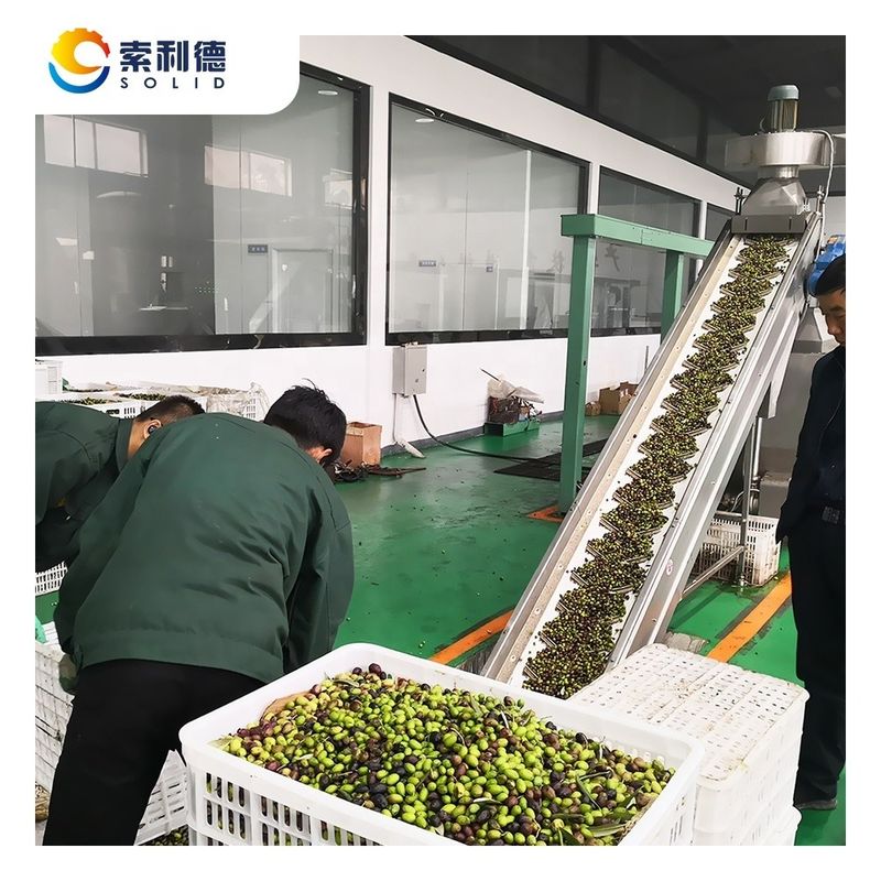 130kw vermogen EVOO-5000 5000KG/H Extra Virgin Olijfolie Verwerkingsinstallatie voor olie