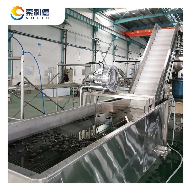 SUS304 Advanced Technology Cold Press Avocado Oil Productielijn CPAO-2000 2T/H