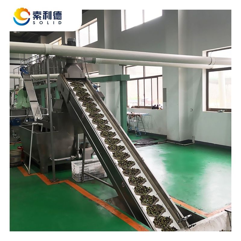 Hoog olieopbrengst EVOO-3500 3500KG/H Extra Virgin Olijfolie Molen door koud geperste machine